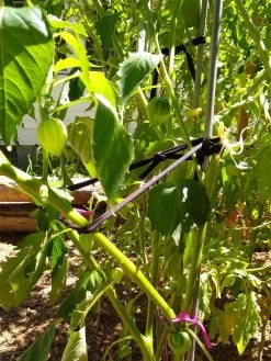 Farmyarn® Multipurpose Garden Tie, 2 Pack -Green Garden Shop 8612948 02v