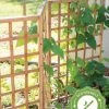 Bamboo Zig-Zag Trellis 24" X 36" -Green Garden Shop 8613151 15