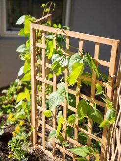 Bamboo Zig-Zag Trellis 24" X 36" -Green Garden Shop 8613151 6467