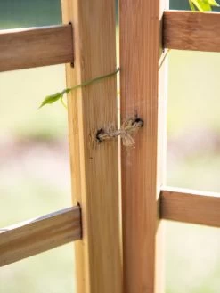 Bamboo Zig-Zag Trellis 24" X 36" -Green Garden Shop 8613151 6483