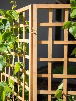 Bamboo Zig-Zag Trellis 24" X 36" -Green Garden Shop 8613151 6491