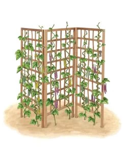 Bamboo Zig-Zag Trellis 24" X 36" -Green Garden Shop 8613151 art flat