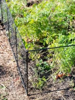 Chicken Wire Critter Fence, 16" High -Green Garden Shop 8613249 0309