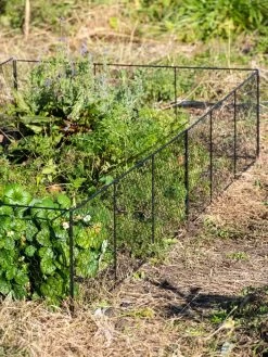 Chicken Wire Critter Fence, 16" High -Green Garden Shop 8613249 0336
