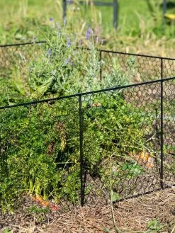 Chicken Wire Critter Fence, 16" High -Green Garden Shop 8613249 0352