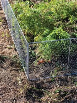 Chicken Wire Critter Fence, 16" High -Green Garden Shop 8613249 0358