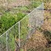 Chicken Wire Critter Fence, 16" High -Green Garden Shop 8613249 0368 chicken wire critter fence 16 inches high