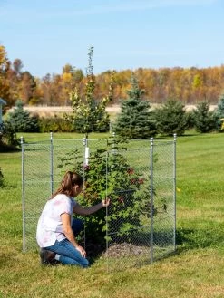 Tall Chicken Wire Critter Fence With Gate -Green Garden Shop 8613260 0044