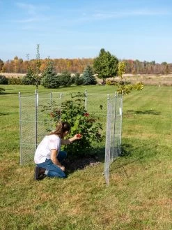 Tall Chicken Wire Critter Fence Extension Panel, Set Of 2 20 Tall Chicken Wire Critter Fence Extension Panel, Set Of 2 -Green Garden Shop 8613260 0090