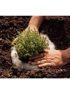 Hortiwool ®, 5 Pad Pack -Green Garden Shop 8613263 06v