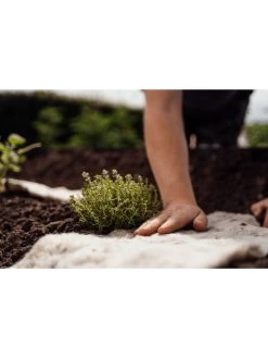Hortiwool ®, Starter Garden Pad -Green Garden Shop 8613263 09v
