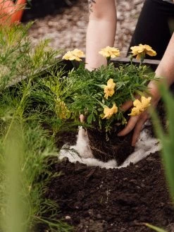 Hortiwool ®, 5 Pad Pack -Green Garden Shop 8613263 12v