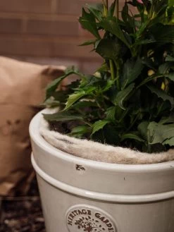 Hortiwool ®, 5 Pad Pack -Green Garden Shop 8613263 17v