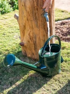 Long Reach Watering Can, Large 11 Long Reach Watering Can, Large -Green Garden Shop 8613346 0147