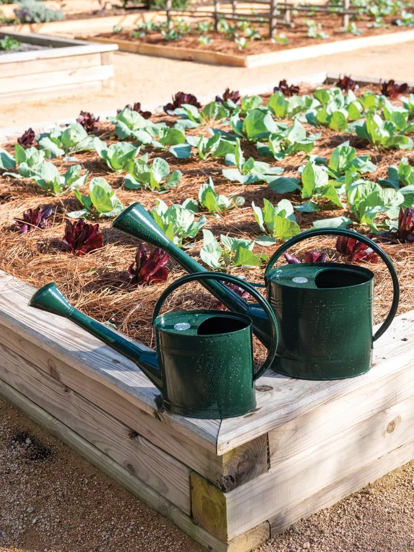 Long Reach Watering Can, Large 6 Long Reach Watering Can, Large - Image 4