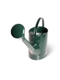 Long Reach Watering Can, Large 14 Long Reach Watering Can, Large -Green Garden Shop 8613346 5830