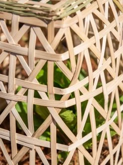 Bamboo Cloche, Set Of 2 -Green Garden Shop 8613351 0153