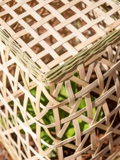 Bamboo Cloche, Set Of 2 -Green Garden Shop 8613351 0154