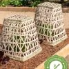 Bamboo Cloche, Set Of 2 -Green Garden Shop 8613351 12
