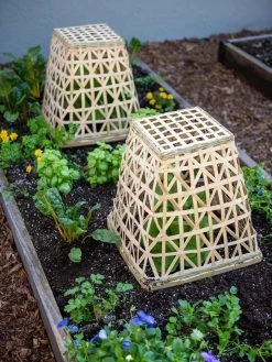 Bamboo Cloche, Set Of 2 -Green Garden Shop 8613351 6766