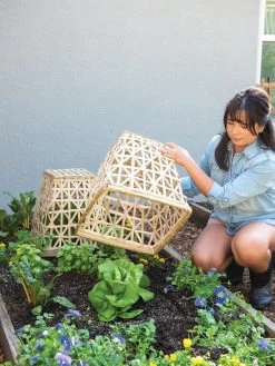 Bamboo Cloche, Set Of 2 -Green Garden Shop 8613351 6862