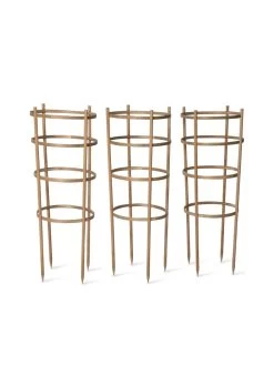 Bamboo Tomato Cages, Set Of 3 -Green Garden Shop 8613426 4679 bamboo tomato cages 3