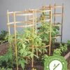 Bamboo Tomato Cages, Set Of 3 -Green Garden Shop 8613426 7