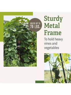 Titan Squash Tunnel -Green Garden Shop B07932DMCR plantsupport benefits 2