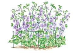 Curved Linking Stakes -Green Garden Shop GS35240 01S tif