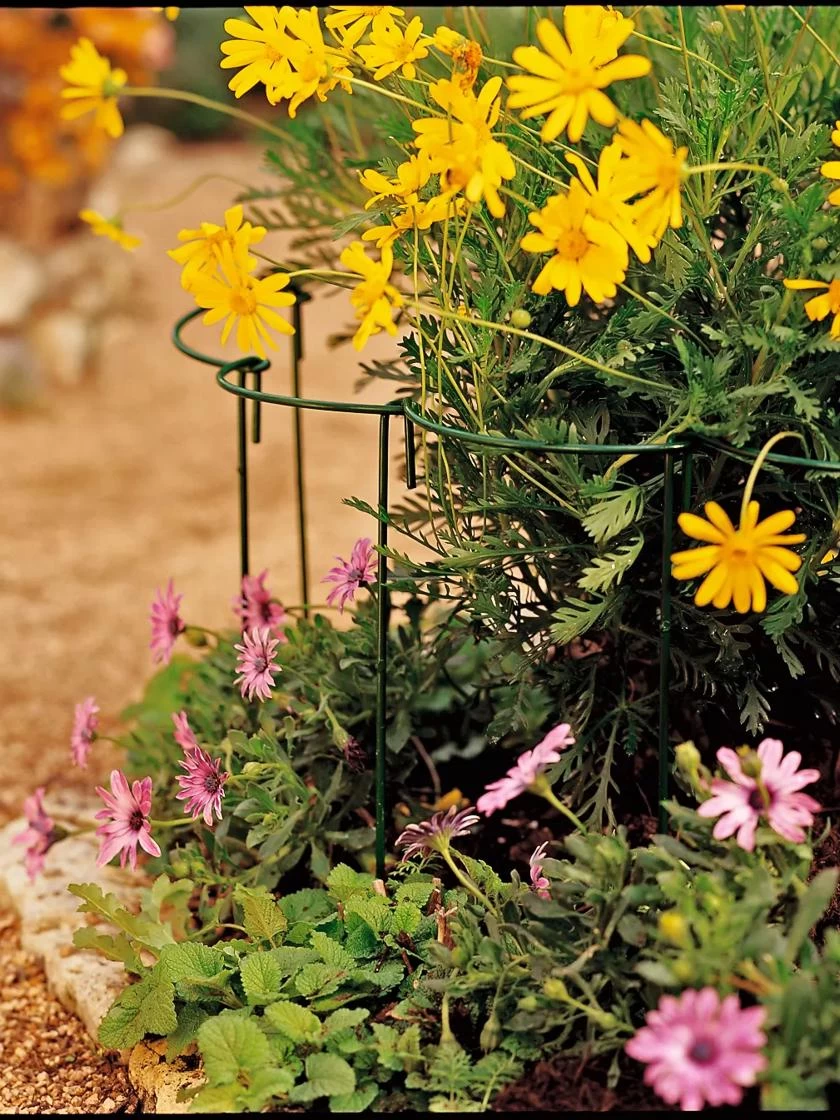 Green Garden Shop -Green Garden Shop GS35240 02 tif