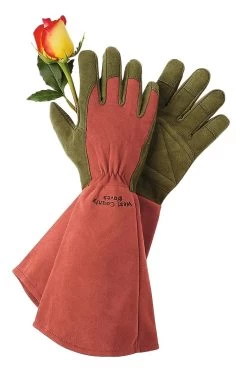 Rose Gloves -Green Garden Shop GS36874 01Z tif
