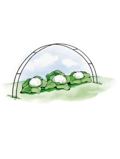 Super Hoops, Set Of 6 -Green Garden Shop GS39423 02S 3 4