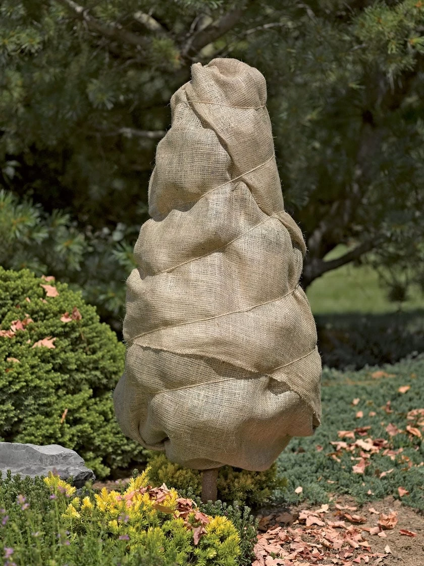 Burlap, 3' X 48' 3 Burlap, 3' X 48'