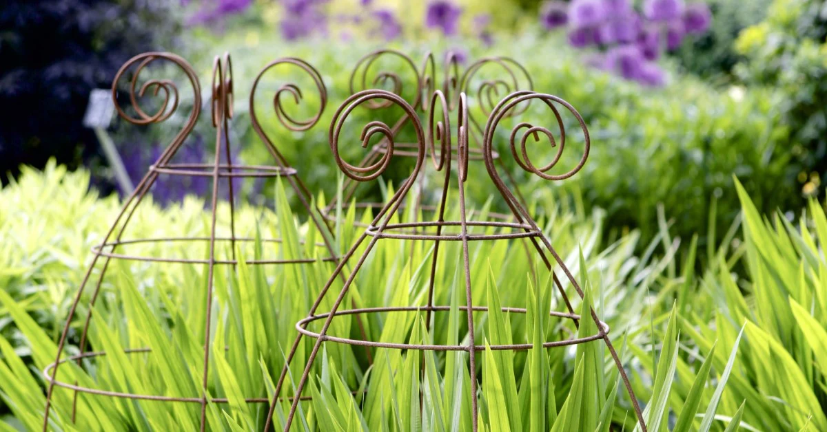 Green Garden Shop -Green Garden Shop Plant Belles Shop